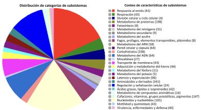 Potenciales mecanismos de control biológico de <em>Bacillus paralicheniformis</em> TRQ65 contra hongos fitopatógenos. Figura 1 - Distribuci&oacute;n por categor&iacute;as de subsistemas de las secuencias de ADN codificantes (CDS) en el genoma de <em>B. paralicheniformis</em> TRQ65, siguiendo el pipeline RAST.