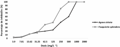 Efectividad biológica de extractos de <em>Agave striata</em> y <em>Fouquieria splendens</em> sobre <em>Pythium aphanidermatum</em> y <em>Rhizoctonia solani in vitro</em>. Figura 2 - Inhibición de <em>Rhizoctonia solani</em> por extractos vegetales <em>Agave striata</em> y <em>Fouquieria splendens</em> por el método de medio envenenado.
