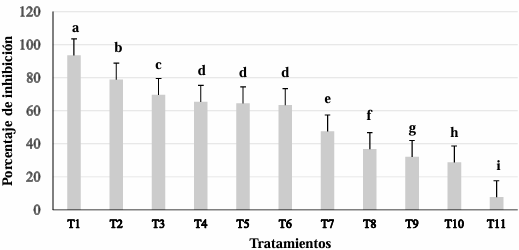 Sensitivity of <em>Colletotrichum truncatum</em> isolated from <em>Echeveria gibbiflora</em> plants to different biofungicides. Figure 2 - Percentage of inhibition of the mycelial growth of <em>C. truncatum</em> isolated from<em> E. gibbiflora</em>, evaluated <em>in vitro</em> with 11 biofungicides. The mean values followed by the same letters are statistically similar (Tukey α = 0.05) according to Tukey’s honest significant difference test. T1= <em>M. alternifolia</em> oil; T2= <em>R. sachalinensis</em> extract; T3= <em>B. amyloliquefaciens</em> QST 713; T4= <em>L. digitata</em> oil; T5= T<em>. vulgaris</em> and <em>M. spicata essential</em> oils; T6= <em>L. tridentata</em> extract; T7= cinnamaldehyde, <em>S. aromaticum</em> extracts, <em>P. nigrum</em>, <em>R. communis</em> y <em>R. graveolens</em>; T8= <em>L. tridentata</em> and <em>R. communis</em> extracts; T9= <em>L. graveolens</em>, <em>C. verum</em> and <em>R. communis</em> extracts; T10= <em>M. tenuiflora</em> and <em>Q. robur</em> extract; and T11= fatty-acid-rich potassium salts.