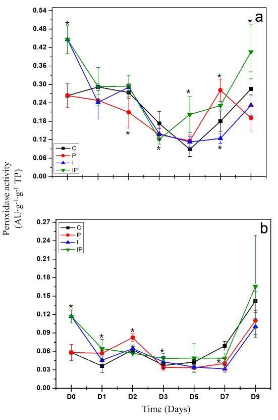 Inducción de respuesta de defensa por inulina de tubérculos de dalia (<em>Dahlia</em> sp.) en <em>Capsicum annuum</em>. Figura 3 - Evaluación de la actividad peroxidasas en raíces (a) y en hojas (b) de plántulas de chile. Los tratamientos se describen en la figura 2. Las líneas verticales representan la desviación estándar.. Los asteriscos representan diferencias significativas con respecto al testigo