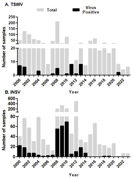 Genus Orthotospovirus in Costa Rica: A Central American case. Figure 3 - Long-Term Detection of impatiens necrotic spot and tomato spotted wilt viruses by ELISA. This graph presents the frequency of detection for both Impatiens necrotic spot virus and Tomato spotted wilt virus over a 23.5-year period (2000 to July 2023). The data, derived from samples submitted to the diagnostic services at the Cellular and Molecular Biology Research Center, University of Costa Rica, illustrate the temporal trends and occurrence patterns of these viruses in Costa Rica.
