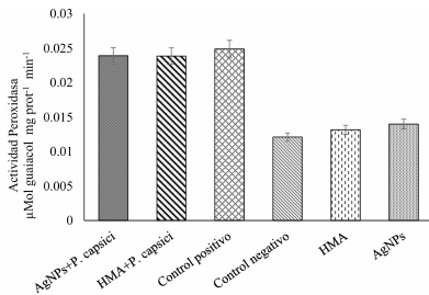 Reducción de la marchitez del chile: sinergia de los hongos micorrízicos arbusculares y nanopartículas de plata. Figura 7 - Actividad de peroxidasa (PER) en plantas de chile chilaca inoculadas con <em>P. capsici</em> tratadas con HMA y AgNPs.