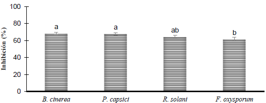<em>Trichoderma afroharzianum</em> and homeopathic substances on the <em>in vitro</em> growth of fungi associated with fungal diseases. Figure 1 - Mycelial growth inhibition of <em>B. cinerea</em> (5 days),<em> P. capsici</em> (11 days), <em>R. solani</em> (8 days), and <em>F. oxysporum</em> (9 days) due to the effect of <em>T. afroharzianum</em> under <em>in vitro</em> conditions. Mean &plusmn; standard deviation (n=4) with different letters are statistically different (Tukey, p &le; 0.05).