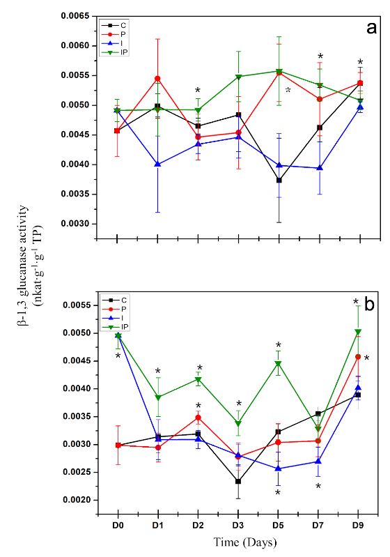 Inducción de respuesta de defensa por inulina de tubérculos de dalia (<em>Dahlia</em> sp.) en <em>Capsicum annuum</em>. Figura 2 - Evaluación de la actividad β-1,3 glucanasas en raíces (a) y en hojas (b) de plántulas de chile