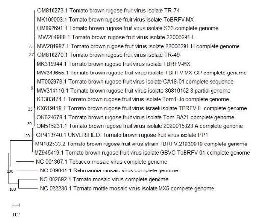 <em>Tobamovirus fructirugosum</em> an emerging disease: review and current situation in Mexico. Figure 1 - Phylogenetic analysis of ToBRFV sequences reported in NCBI. For the reconstruction of the phylogenetic tree, Molecular Evolutionary Genetics Analysis version 11 software was used with the Neighbor joining model and 10,000 replicates (Bootstrap). With a genetic distance of 0.02