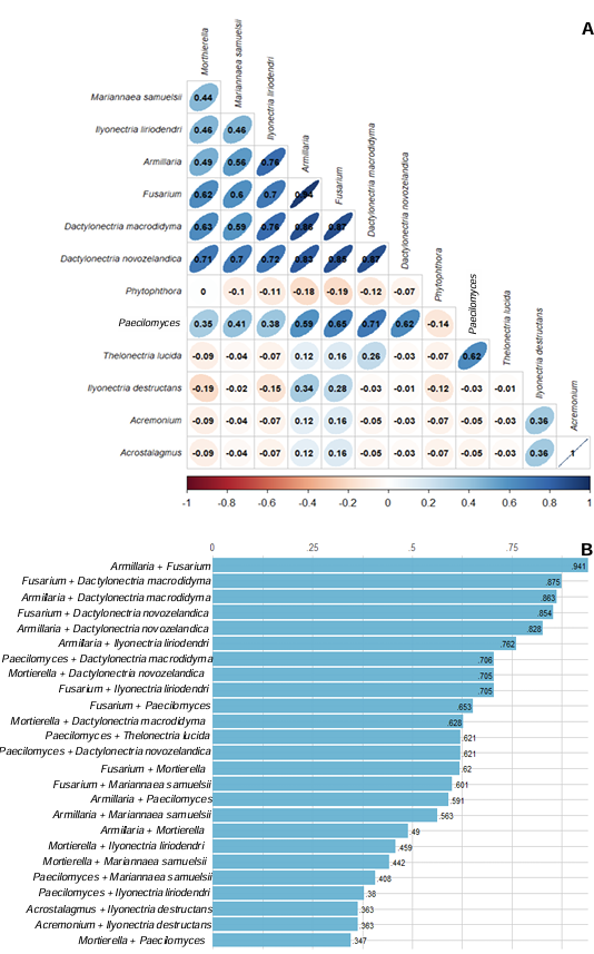 Caracterización biológica y molecular de especies nectriales asociadas a un síndrome de declinamiento del aguacate. Figura 8 - Gr&aacute;ficas de asociatividad de organismos aislados de ra&iacute;ces de aguacate con s&iacute;ntomas de s&iacute;ndrome de declinamiento.<strong> A.</strong> Correlaci&oacute;n de Pearson (r) que muestra asociaci&oacute;n entre nectriales y otros organismos de ra&iacute;z; y <strong>B.</strong> Cross correlaci&oacute;n en pares y ordenada por nivel de asociatividad para las 25 principales correlaciones significativas.