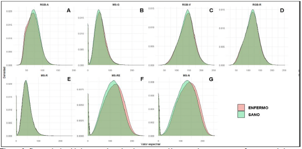 Detección de <em>Closterovirus tristezae</em> en limón persa mediante aprendizaje automático y drones. Figura 3 - Curvas de densidad espectral por banda, comparación entre plantas sanas y enfermas asociadas a <em>Closterovirus tristezae</em>, CTV en el campo Castamay Sección 2, Campeche.
