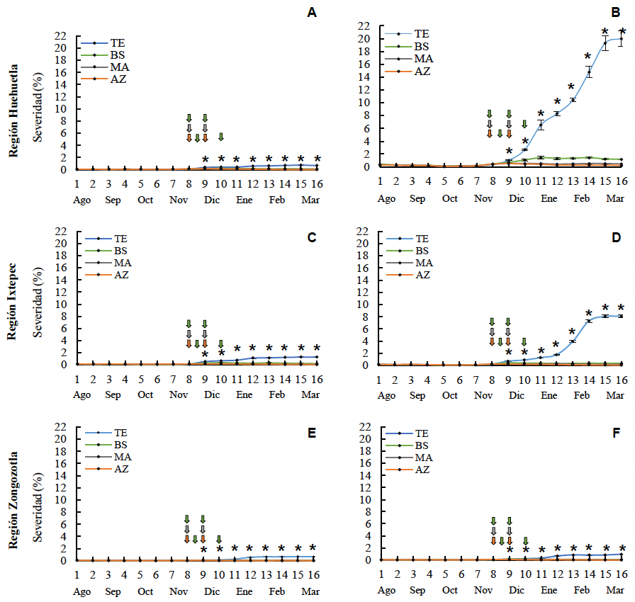 Epidemiología de la roya del cafeto bajo el efecto de fungicidas en la Sierra Norte y Nororiental del estado de Puebla. Figura 3 - Efecto de fungicidas sobre la dinámica de la severidad de la roya (<em>H. vastatrix</em>) en cafeto cultivado en Huehuetla, Ixtepec y Zongozotla, Puebla. A) Lipuntahuaca 1 (Costa Rica 95), B) Lipuntahuaca 2 (Typica), C) Escatachuchut 1 (Costa Rica 95), D) Escatachuchut 2 (Garnica), E) Zongozotla 1 (Marsellesa) y F) Zongozotla 2 (Oro Azteca). Las flechas indican el momento de aplicación de los fungicidas: naranja: Azoxistrobin, gris: <em>M. alternifolia</em> y verde: <em>B. subtilis</em>. El asterisco (*) indica diferencias significativas entre los tratamientos de cada muestreo de acuerdo con la prueba de comparación de medias Tukey.