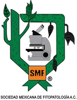 RMF Logo
