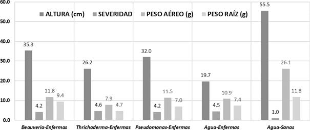 Figura del artículo