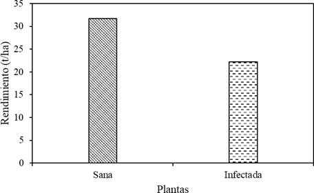 Figura del artículo